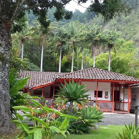 Hostal Rio Arabia - Valle De Cocora Hotel 萨兰托 外观 照片