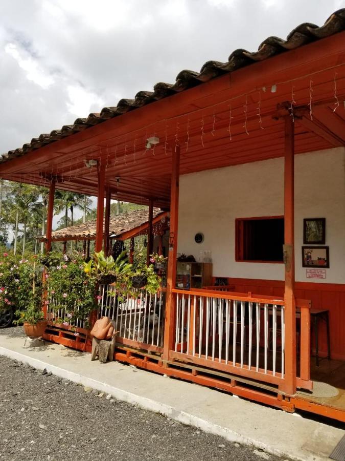 Hostal Rio Arabia - Valle De Cocora Hotel 萨兰托 外观 照片