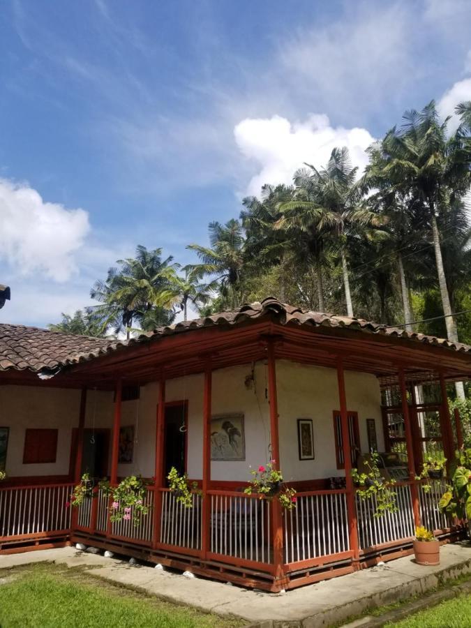 Hostal Rio Arabia - Valle De Cocora Hotel 萨兰托 外观 照片