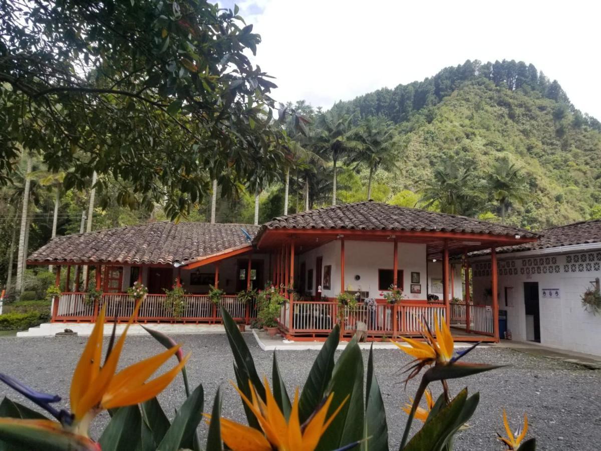 Hostal Rio Arabia - Valle De Cocora Hotel 萨兰托 外观 照片