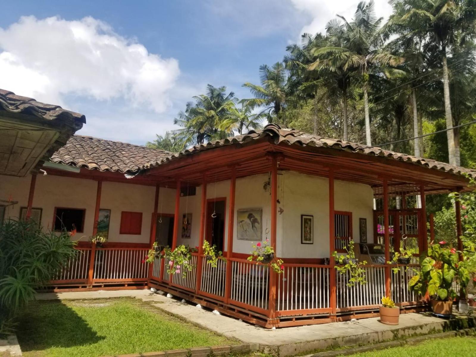 Hostal Rio Arabia - Valle De Cocora Hotel 萨兰托 外观 照片