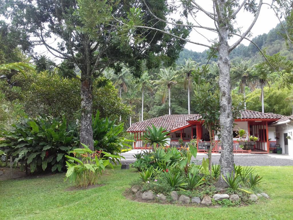 Hostal Rio Arabia - Valle De Cocora Hotel 萨兰托 外观 照片