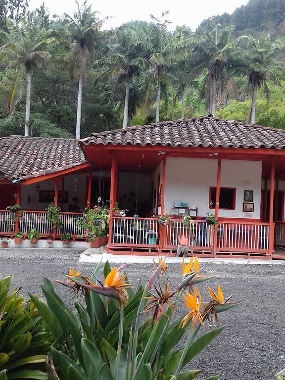 Hostal Rio Arabia - Valle De Cocora Hotel 萨兰托 外观 照片