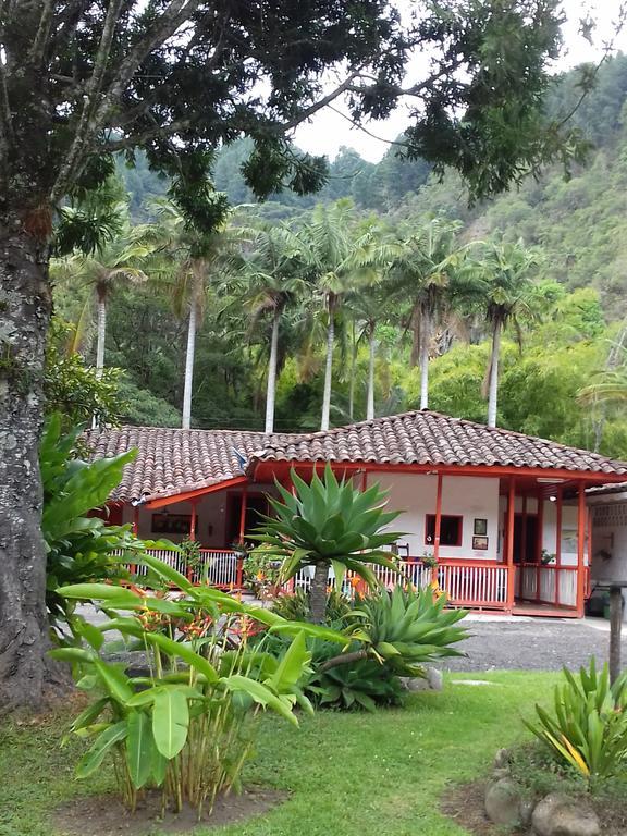 Hostal Rio Arabia - Valle De Cocora Hotel 萨兰托 外观 照片