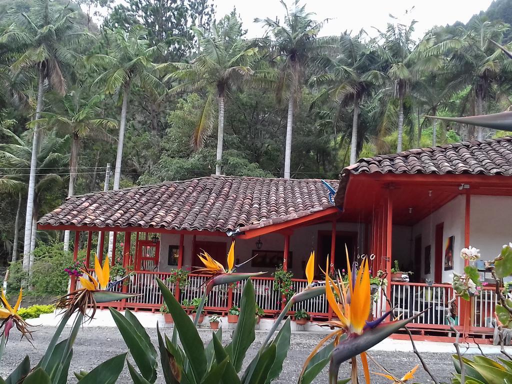 Hostal Rio Arabia - Valle De Cocora Hotel 萨兰托 外观 照片