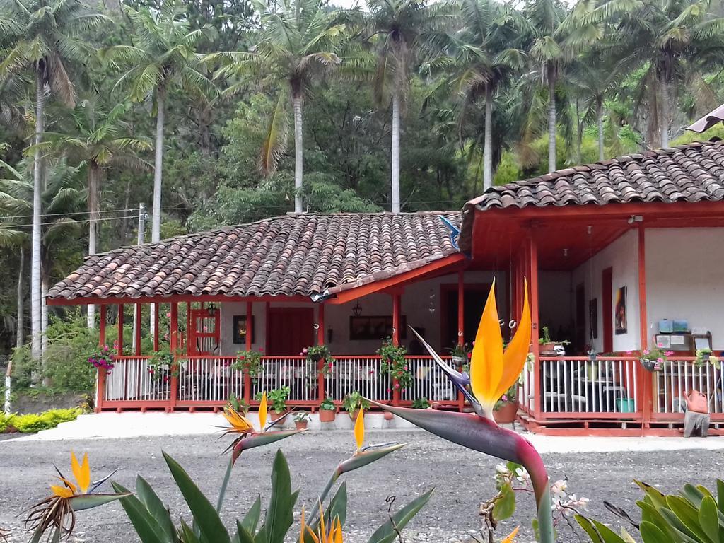 Hostal Rio Arabia - Valle De Cocora Hotel 萨兰托 外观 照片